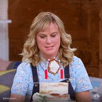 amy poehler birthday GIF by Making It