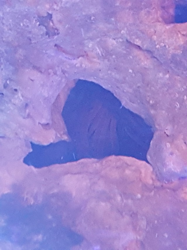 20180208_173602.jpg