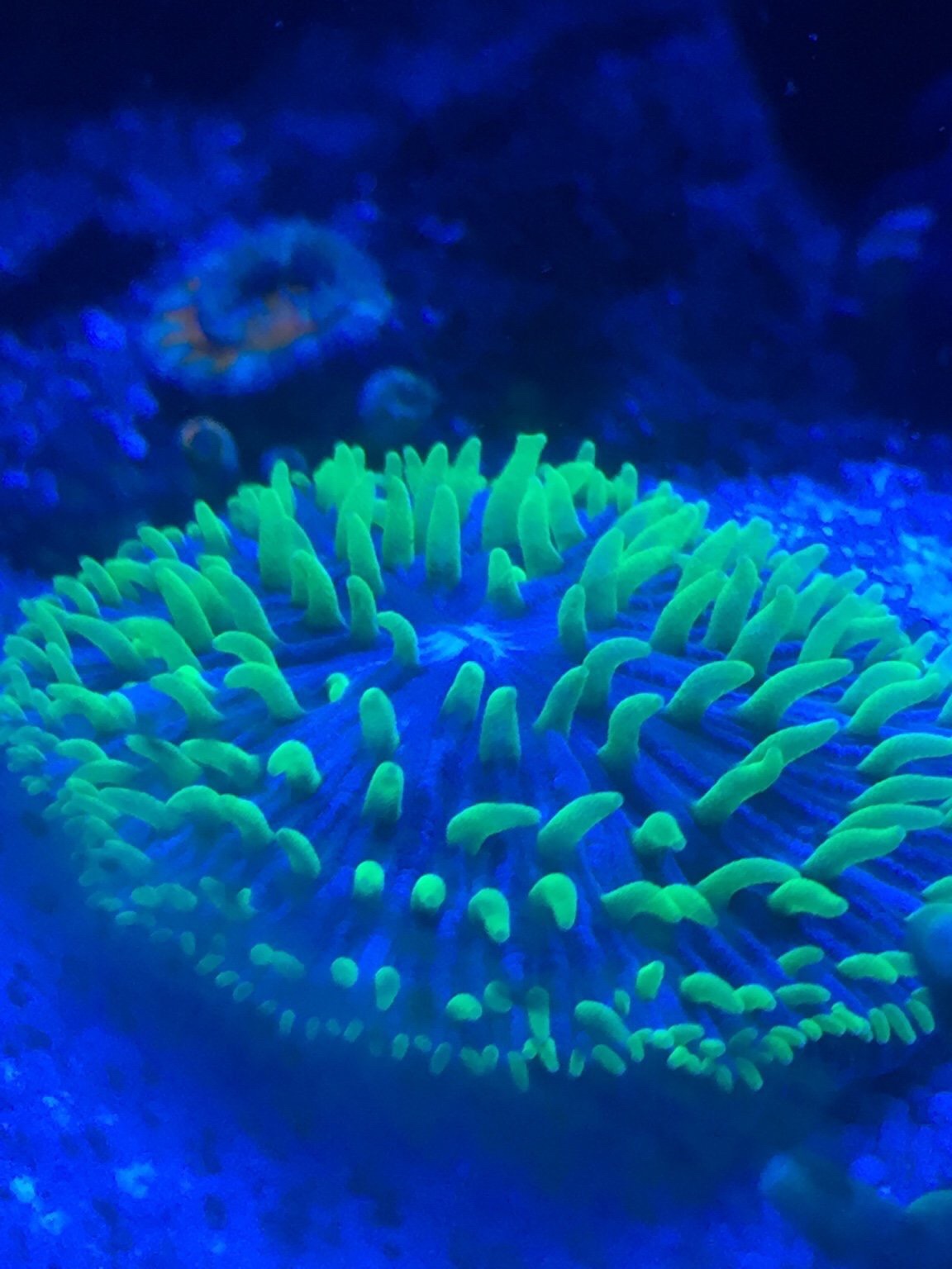 8b234e7284ee4f1be2350af61f72ff4e.jpg