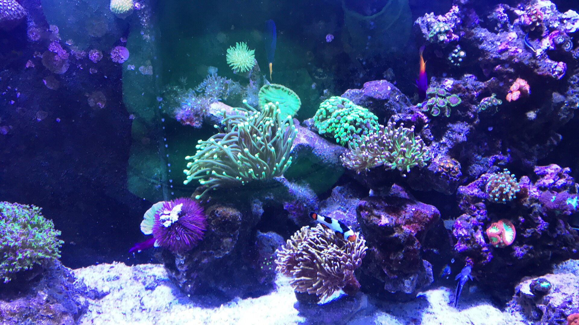 e4459cd9efb7937f8e1e4ebb47bb8f51.jpg