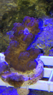 45a9defab285e09faf02abbea7850f81.jpg