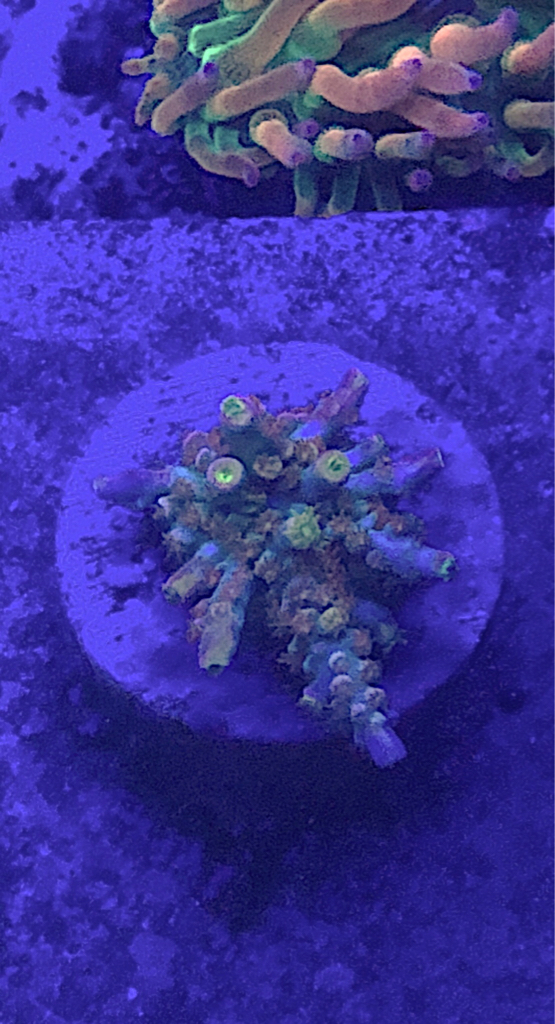 cdc17e7d0ae470a93386ea39b928368b.png