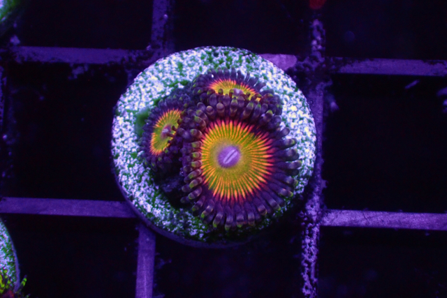 ecd3baee110ada6dc7a2298bb0b78f10.jpg