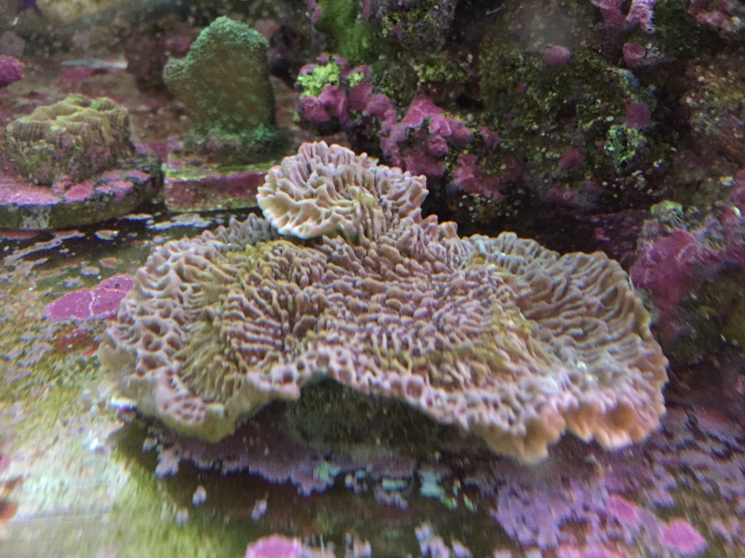 0b5acbec03a3d8c8891f6de5afa6f30b.jpg