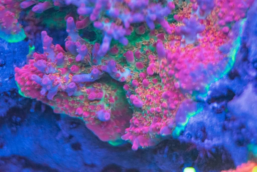 0971fce8b39bcbd3f0ef9fc7bafc36c1.jpg