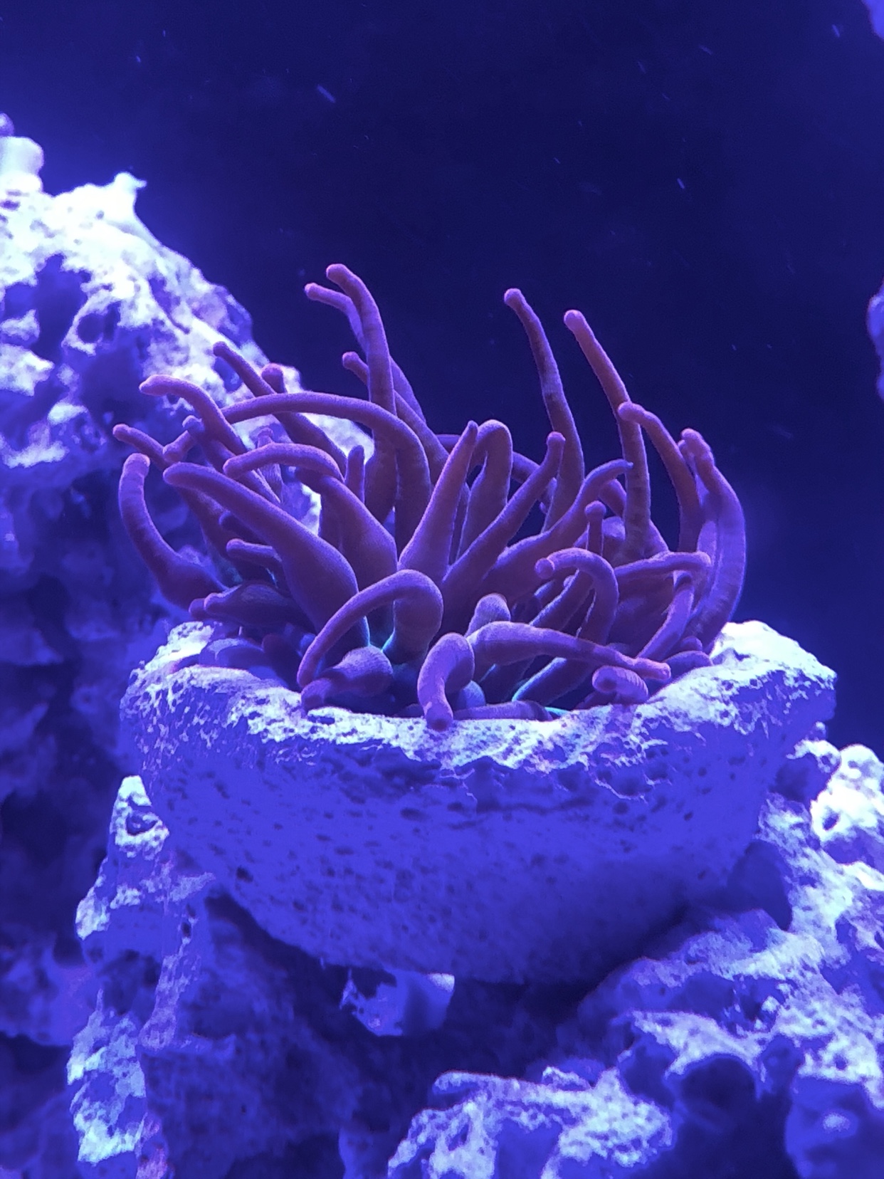 7e737c24160f3ff53bbd4ec7e3f9a50e.jpg