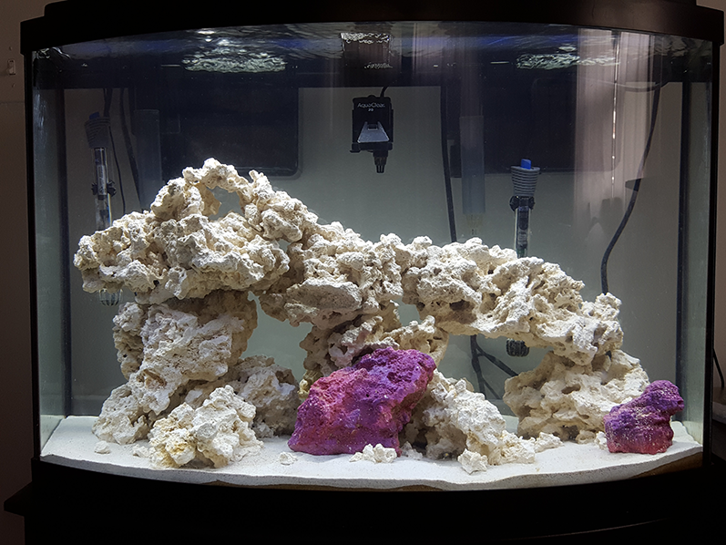 4d1bc1226e125b5bcadce182e2054855.png