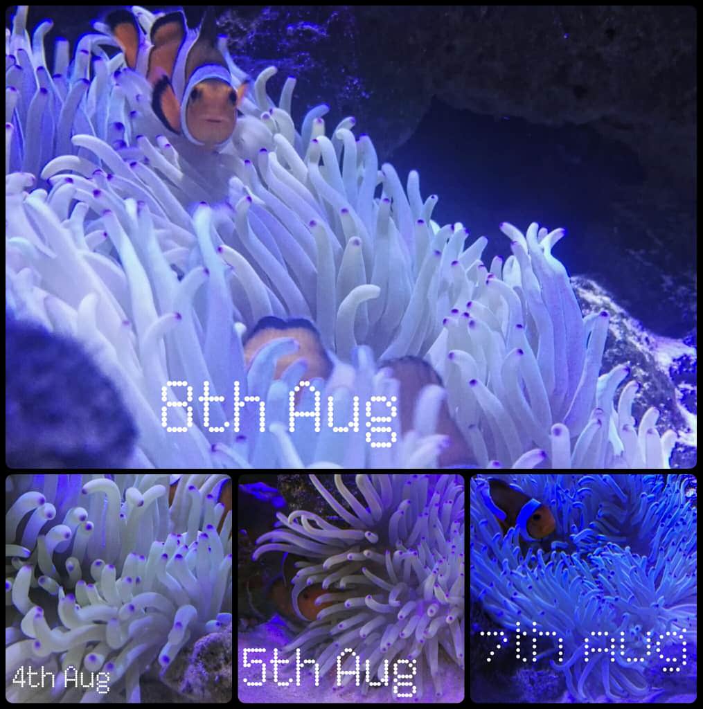 GBUPVAU.jpg