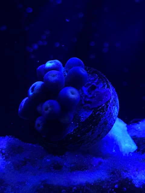 1354d7e5b7a795d84bbf6187e6ec413c.jpg