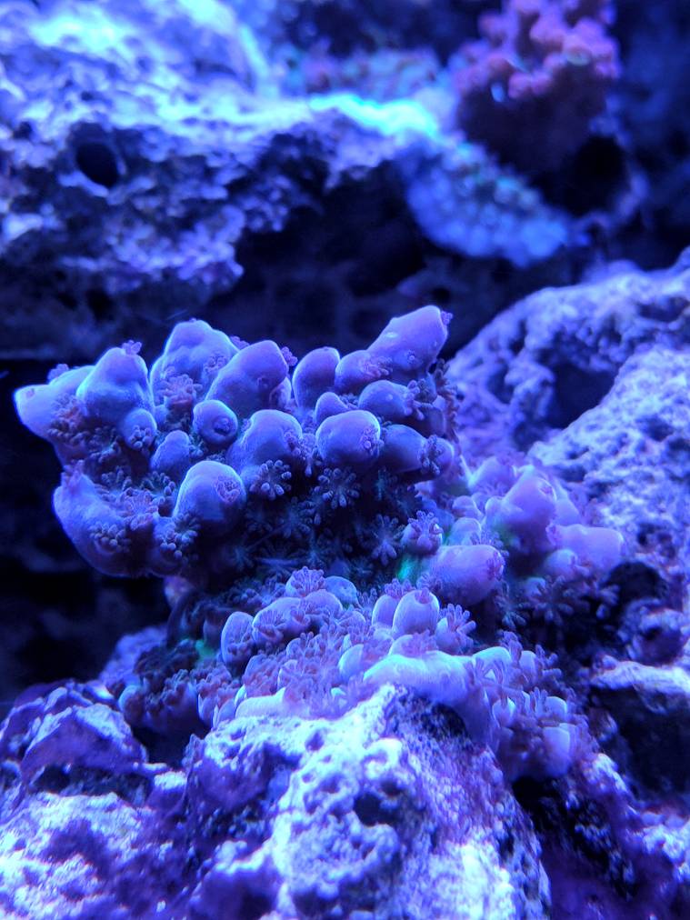 d84f05c09d83f9d45bfb0e443e2c424a.jpg