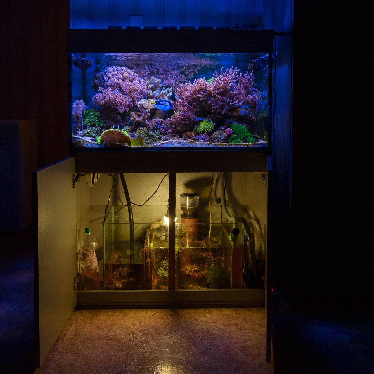 r3Sbt_GypEc.jpg