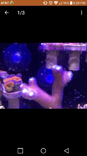 92c95f558e1c4e1241b305c92e05e945.jpg