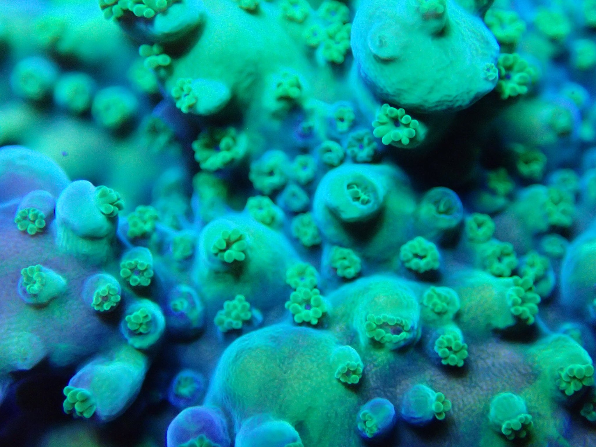 yC8C4Cf.jpg