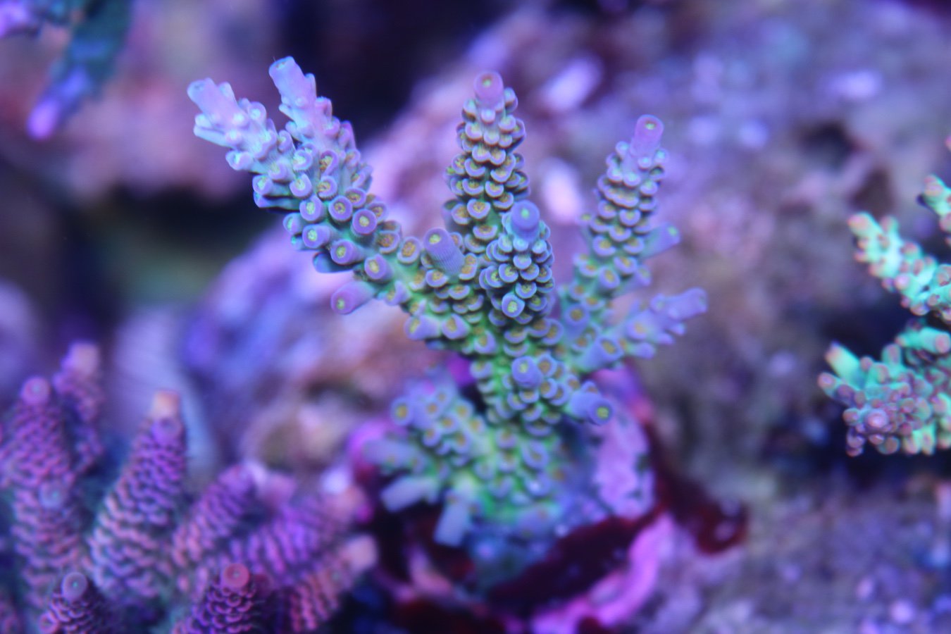 3d22de18b0cdebd7cde4731121ff596c.jpg