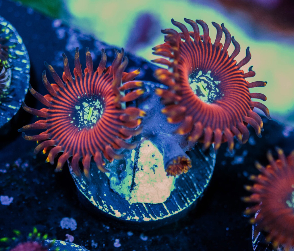 2e855eca984265e06f4ab461dd08b8a0.jpg
