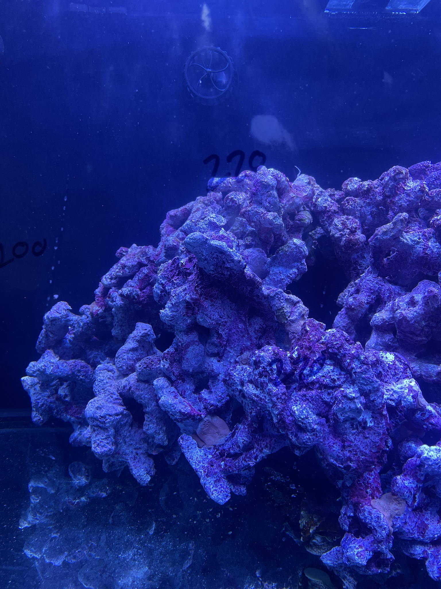 84O9Ma1.jpeg