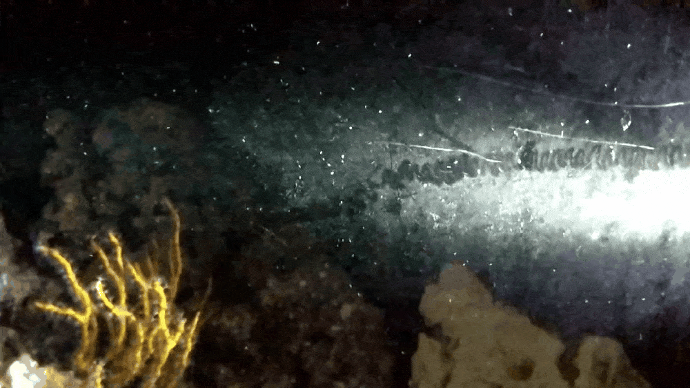 n7KLaR5.gif