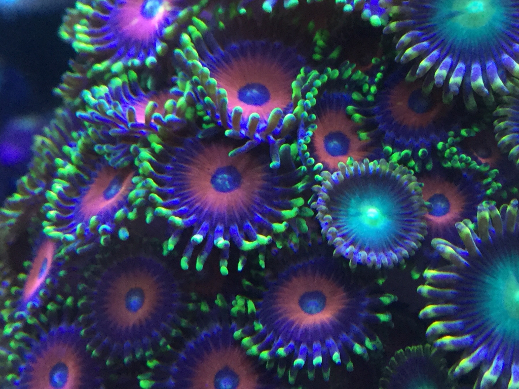7dfbda91e12d6deaa4db71d786c5bb54.jpg