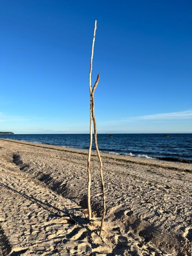 Sticks on beach.jpeg