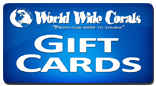 giftcards-1.png