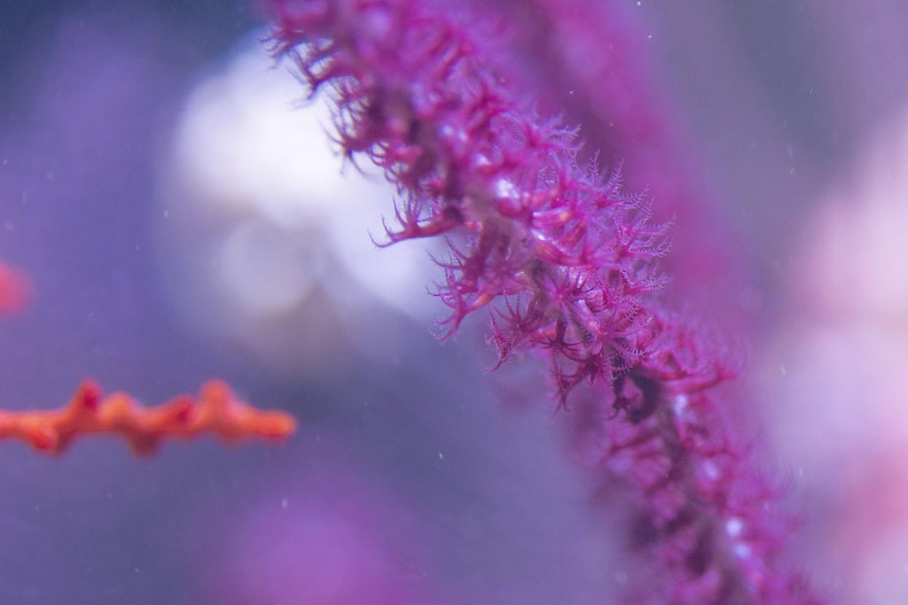 RxI5xwdh.jpg