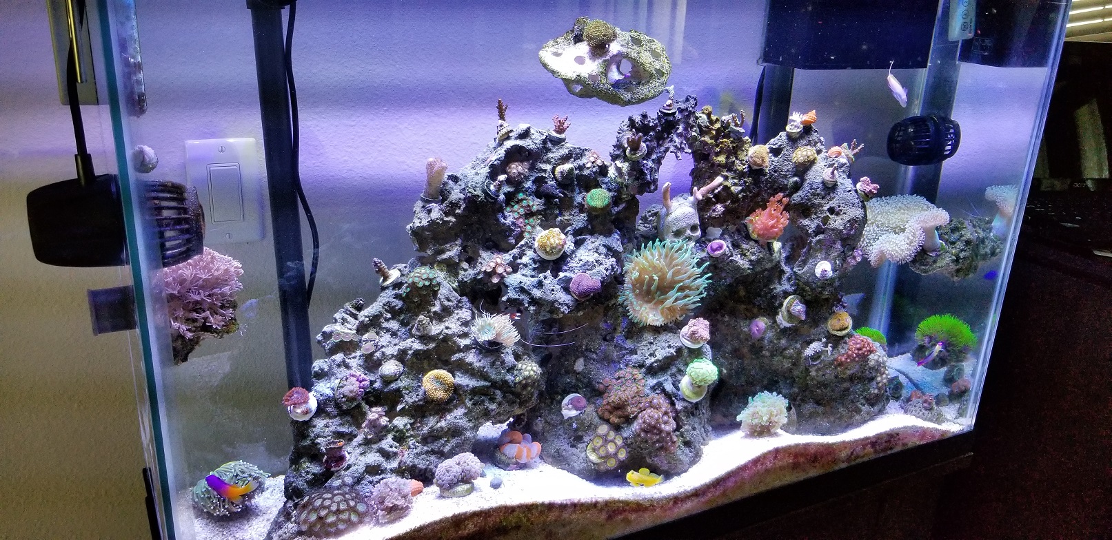 20171127_115225.jpg