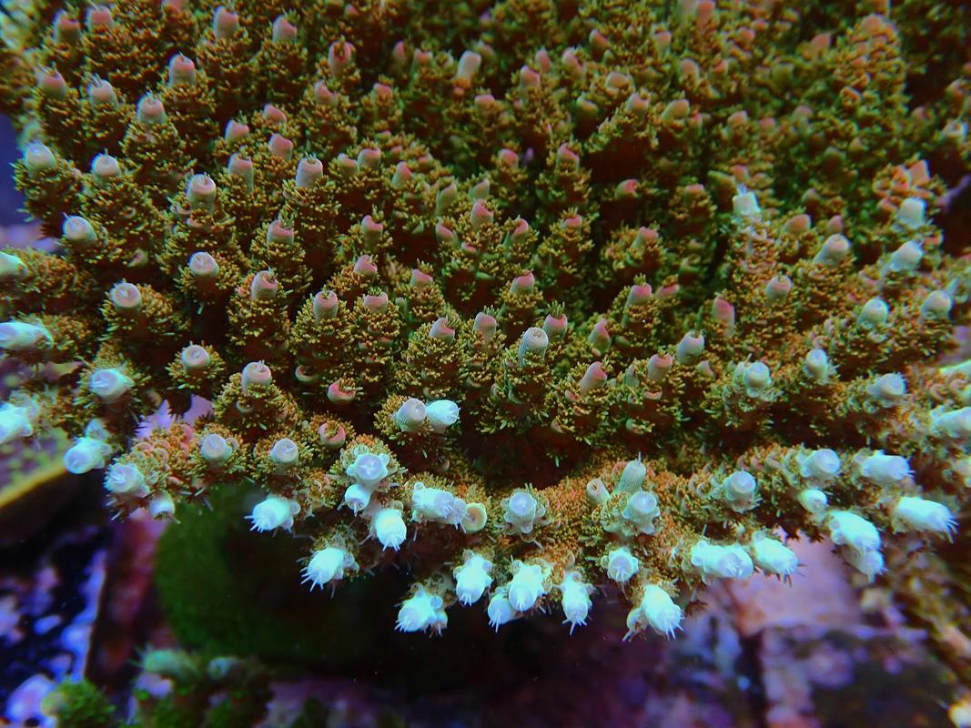 P9121431.jpg
