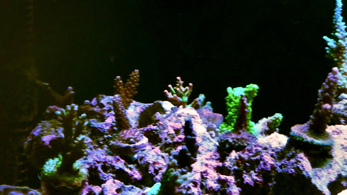 ff53c22a56dd7fdbd678595540955fae.jpg