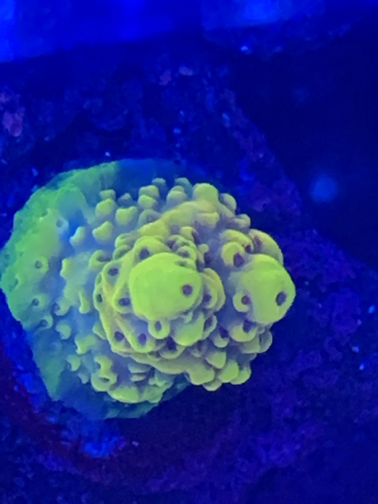 d03a2a67f93f0e42a846b65096a48de1.jpg