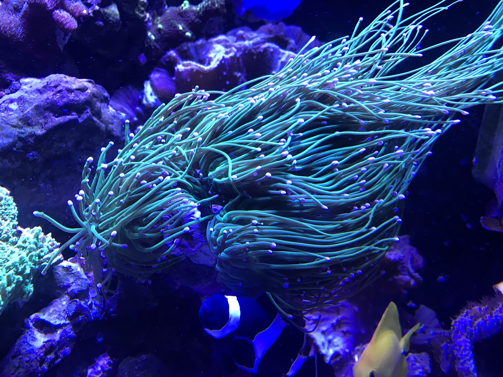 8260726c97958a25262d0f2f72ffafa3.jpg