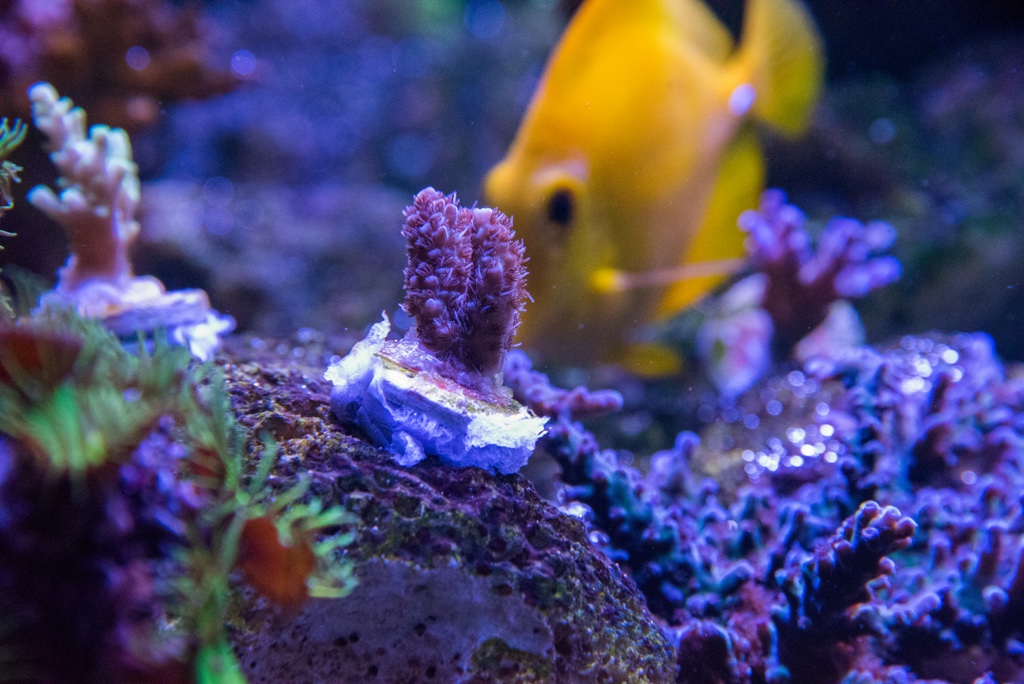 DSC_1617.jpg