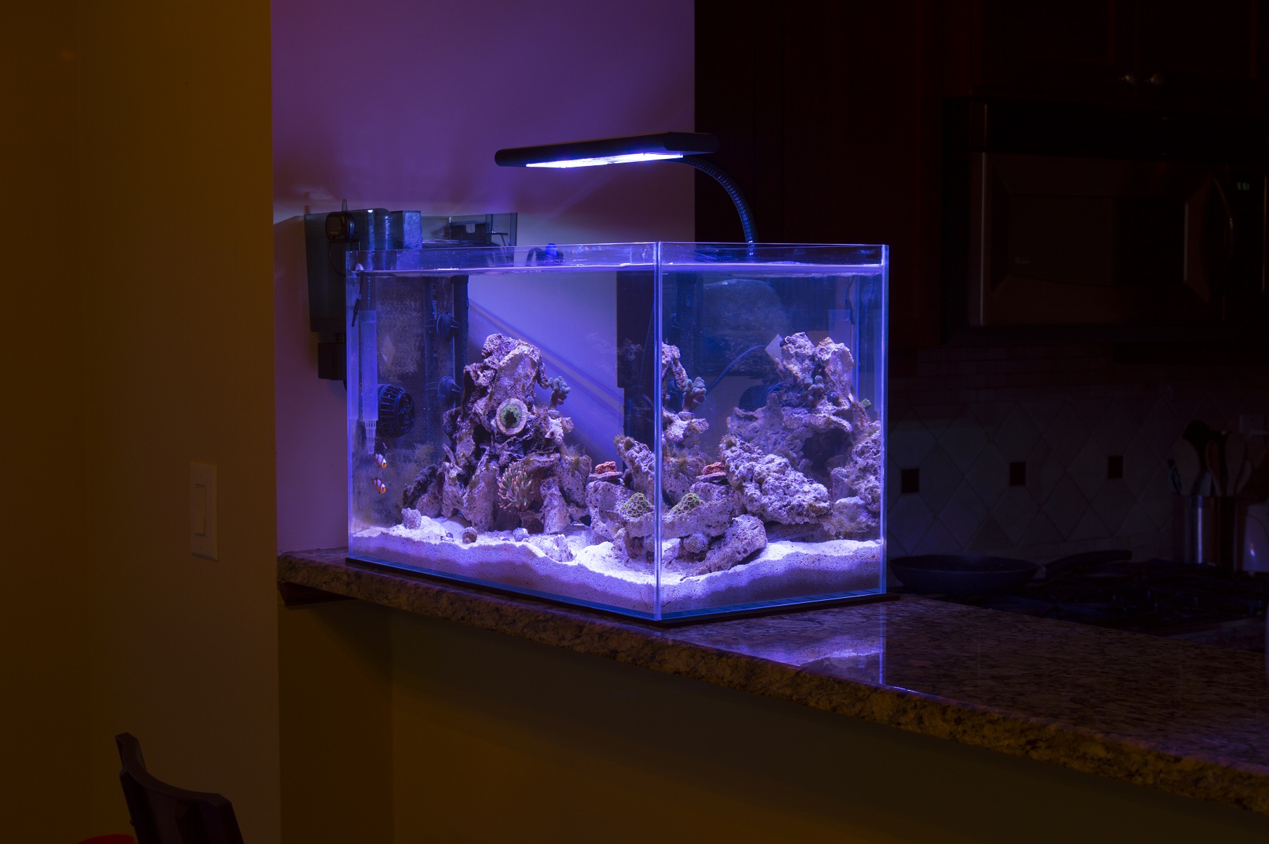 Tank3.JPG