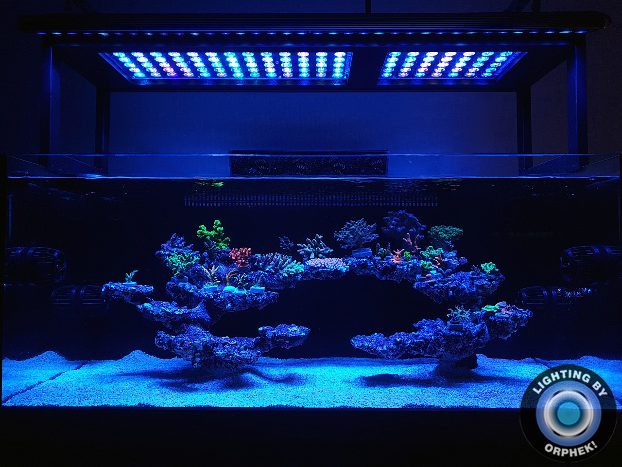 orphek-atlantik-best-reef-tank-lights.jpg