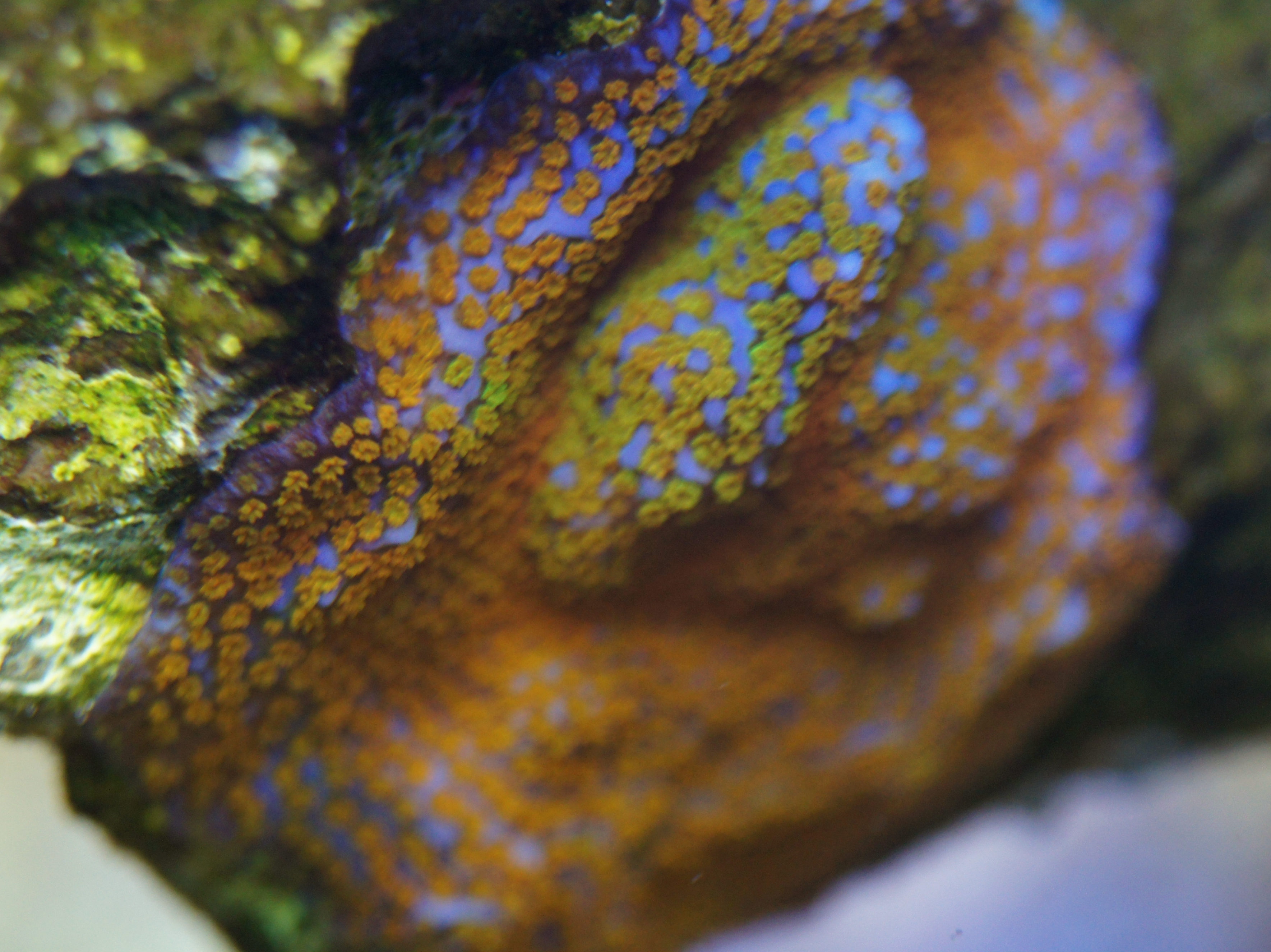 UTPeC6w.jpg