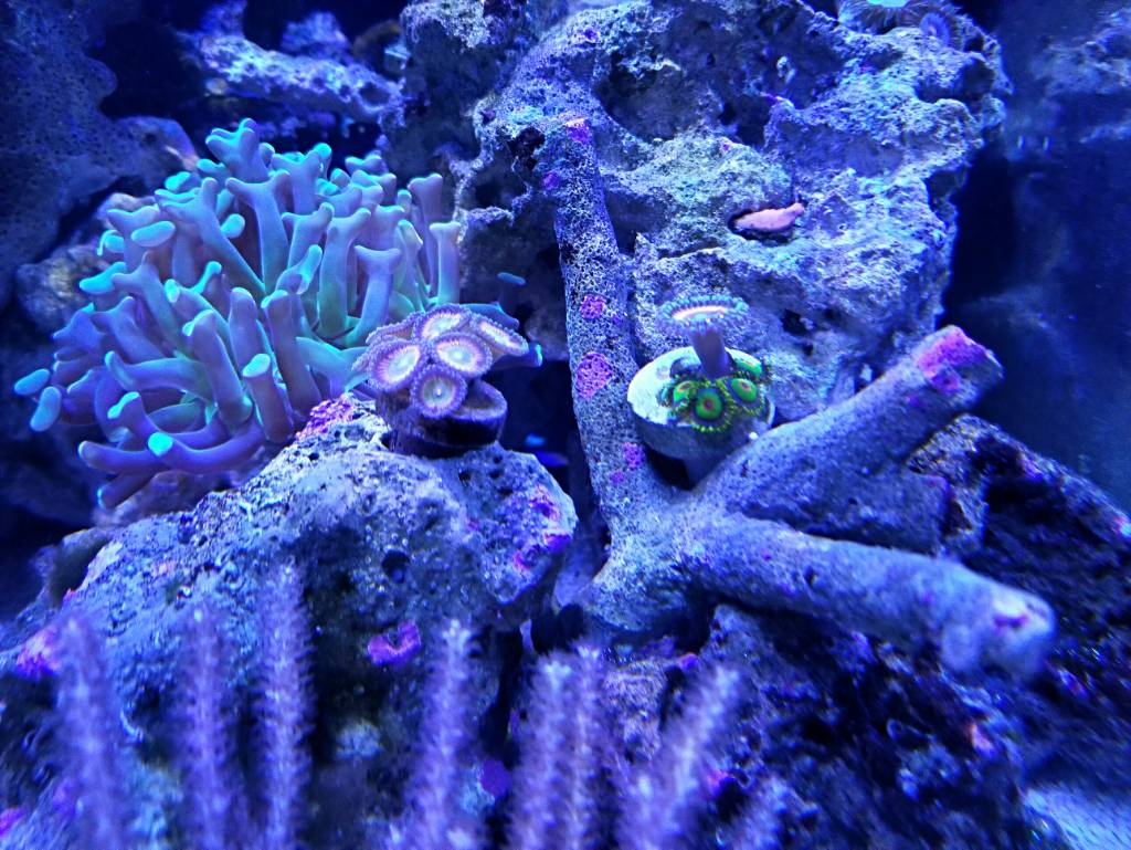 4d43f29df3d54d91efa83bf3ee03ede2.jpg