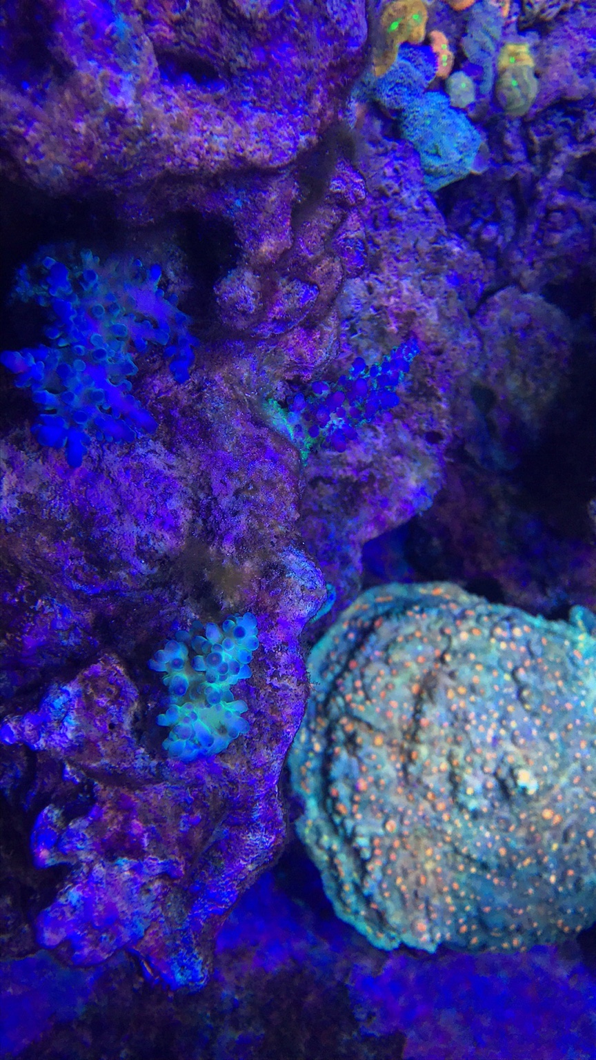 e226ad9aecf34ec07f77e68998c612d8.jpg