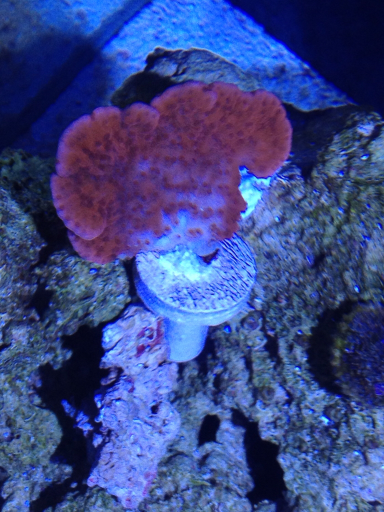 8b8768fcdc6e3f4e301381aac1f79581.jpg