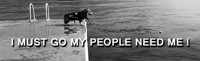 i must go my people need me GIF