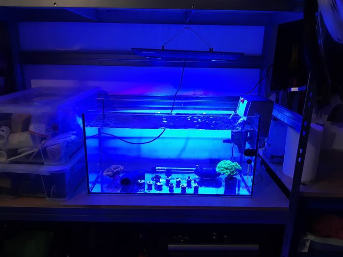 Do7uv1f8FFS6.jpg