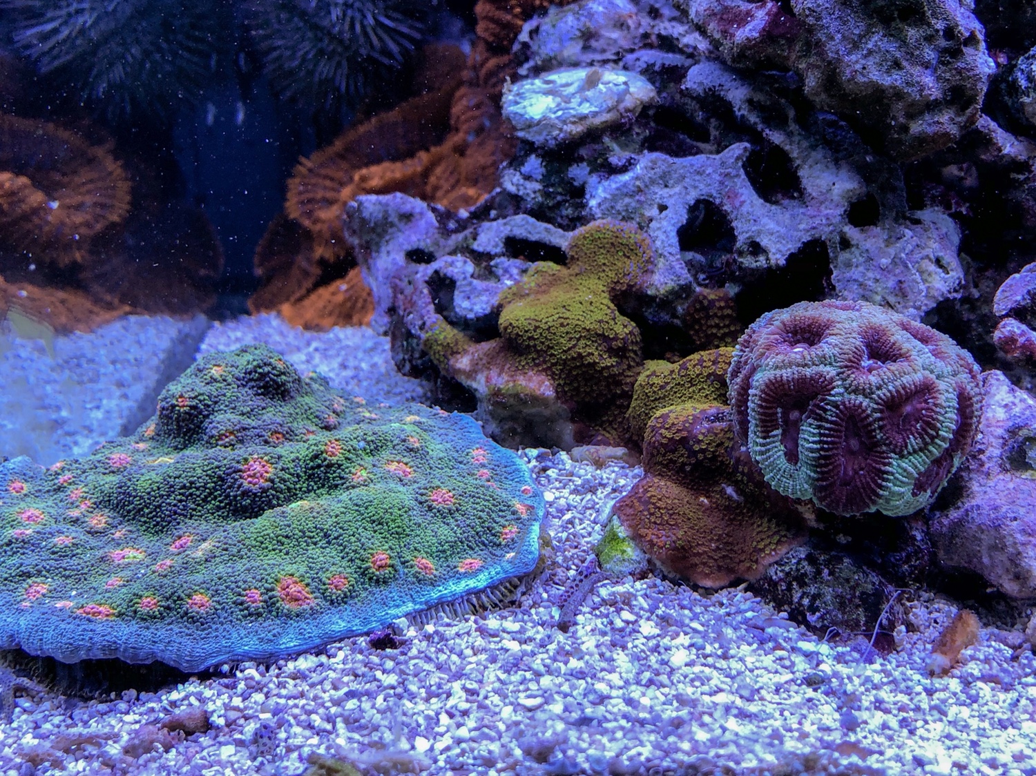 e388348d5abbfd5f35456faf6f65bb46.jpg