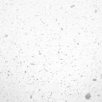 White Christmas GIF
