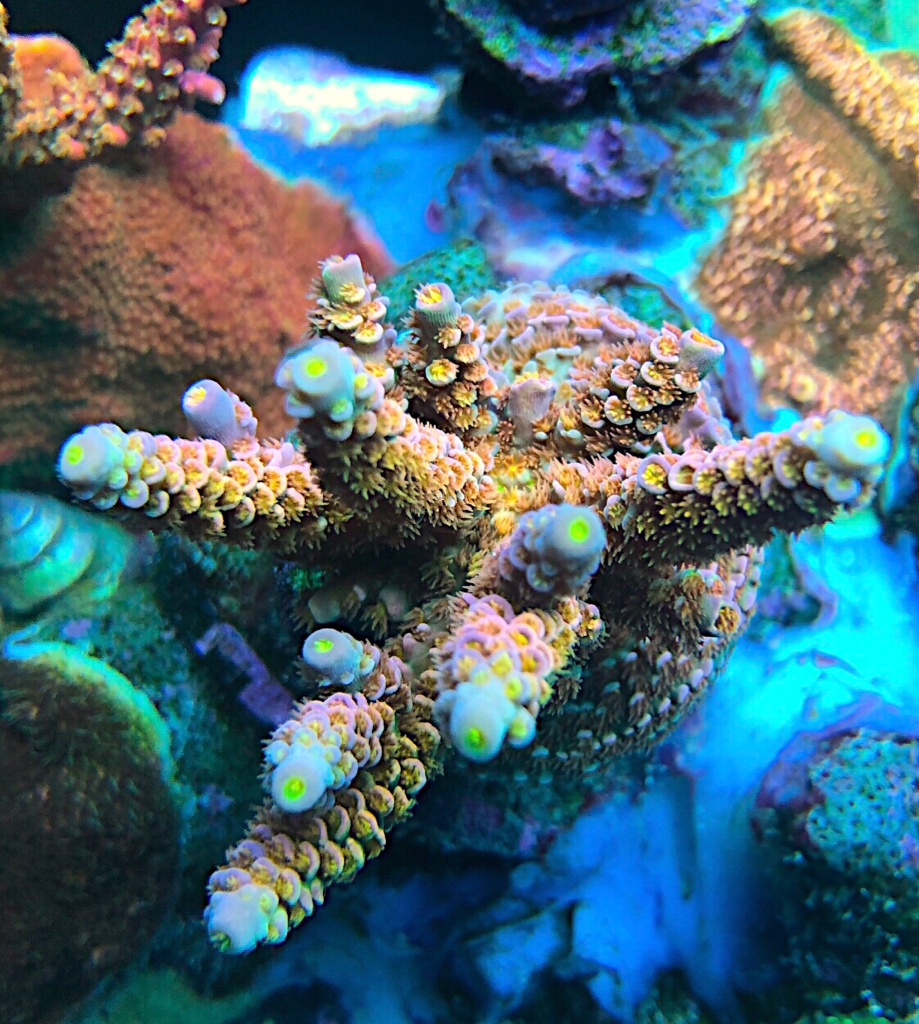 f69d472a2b55d2b09dc16af9d355ee49.jpg