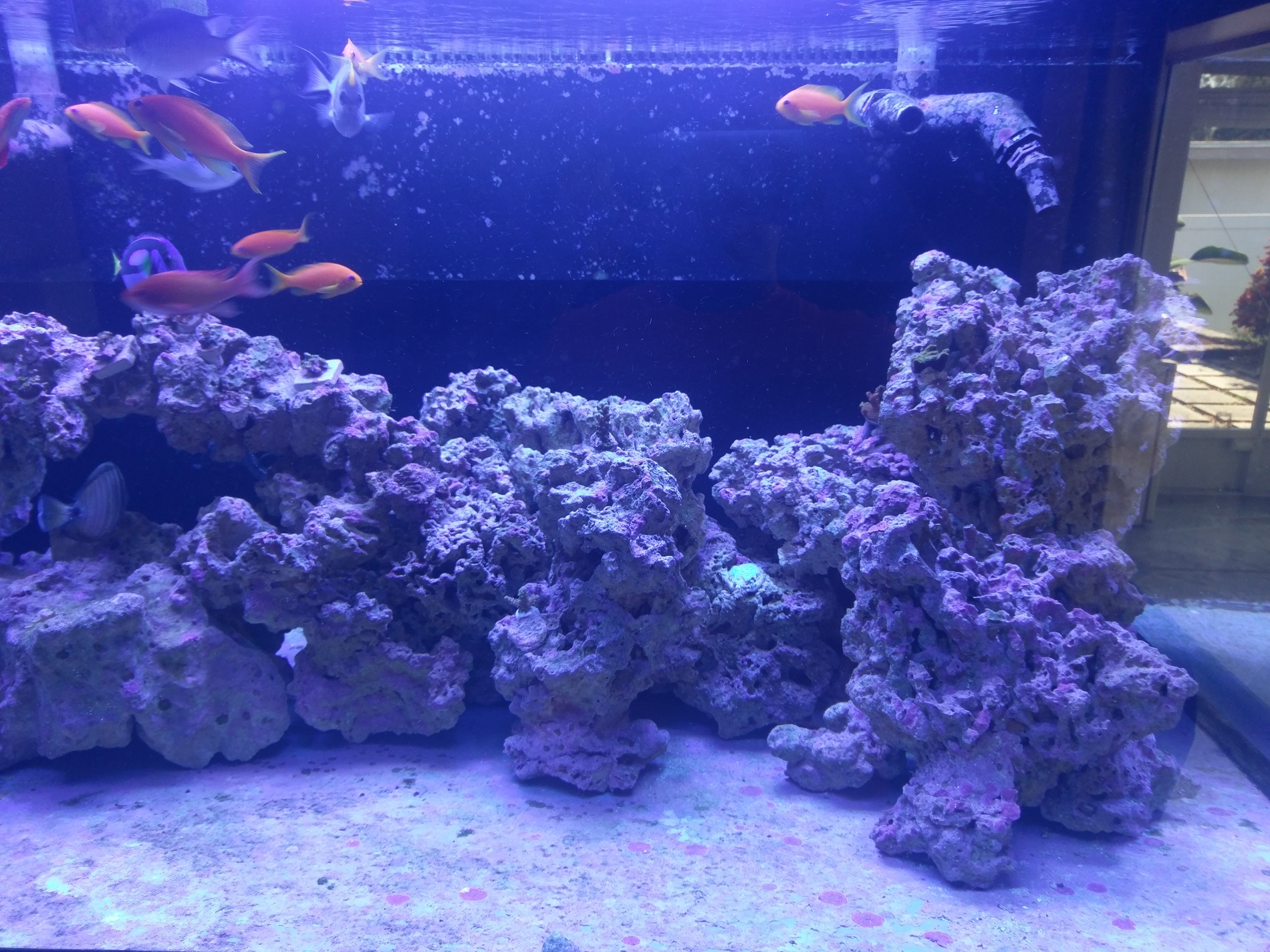2017_09_18_300_RHS_2.jpg
