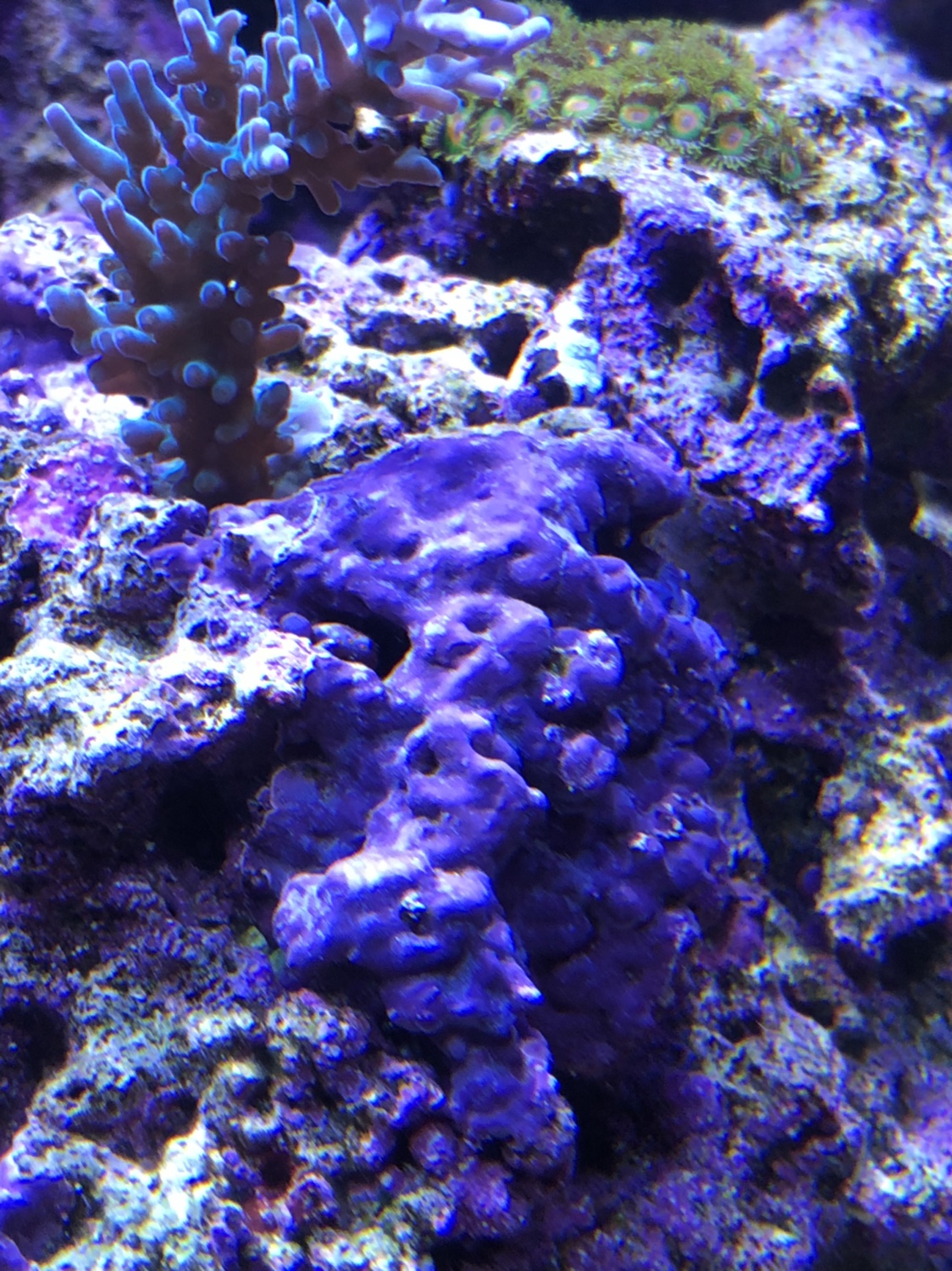 9c99b029e1c94e3ec081df8eec58095a.jpg