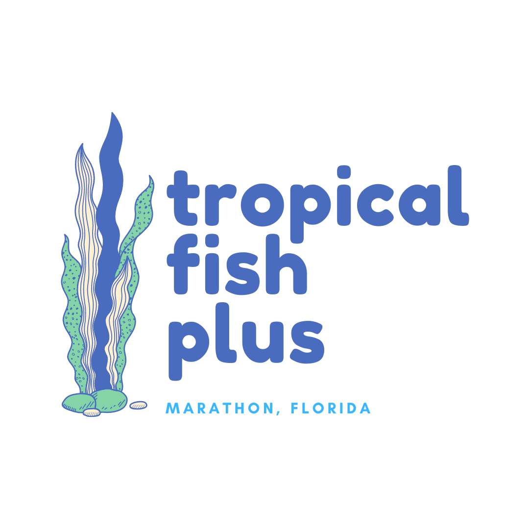 tropicalfishplus.com