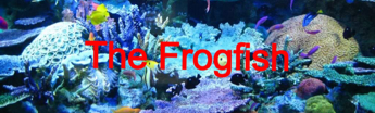 frog-fish-resources.weebly.com