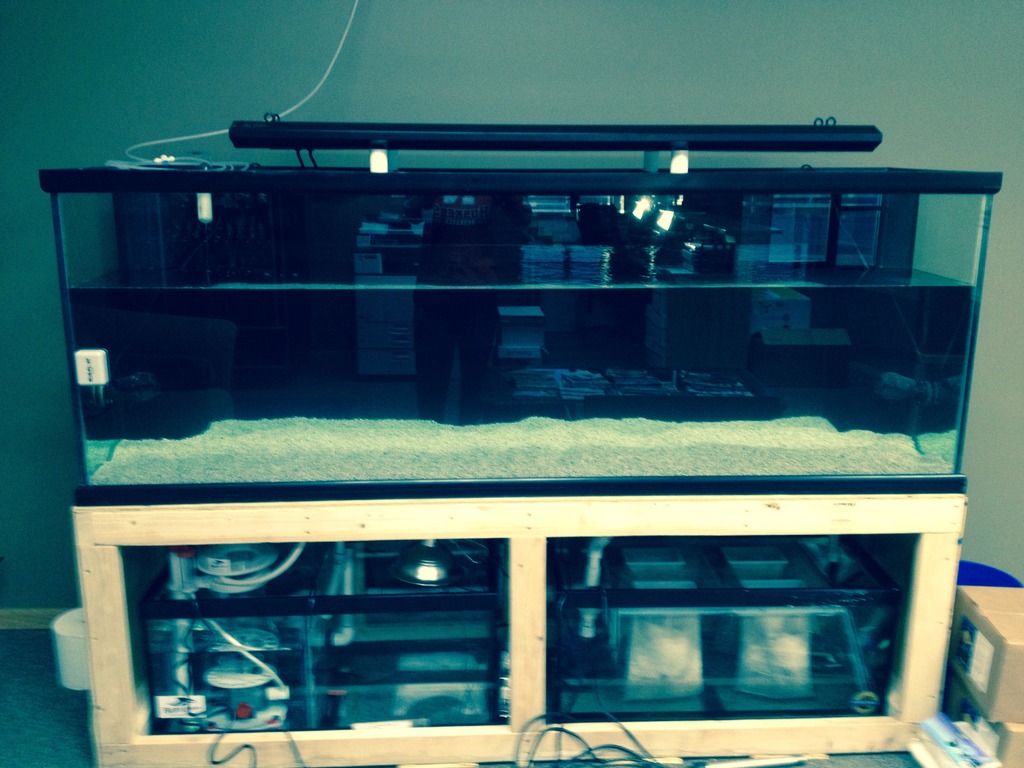 Pictures of dual sump setups?  REEF2REEF Saltwater and Reef