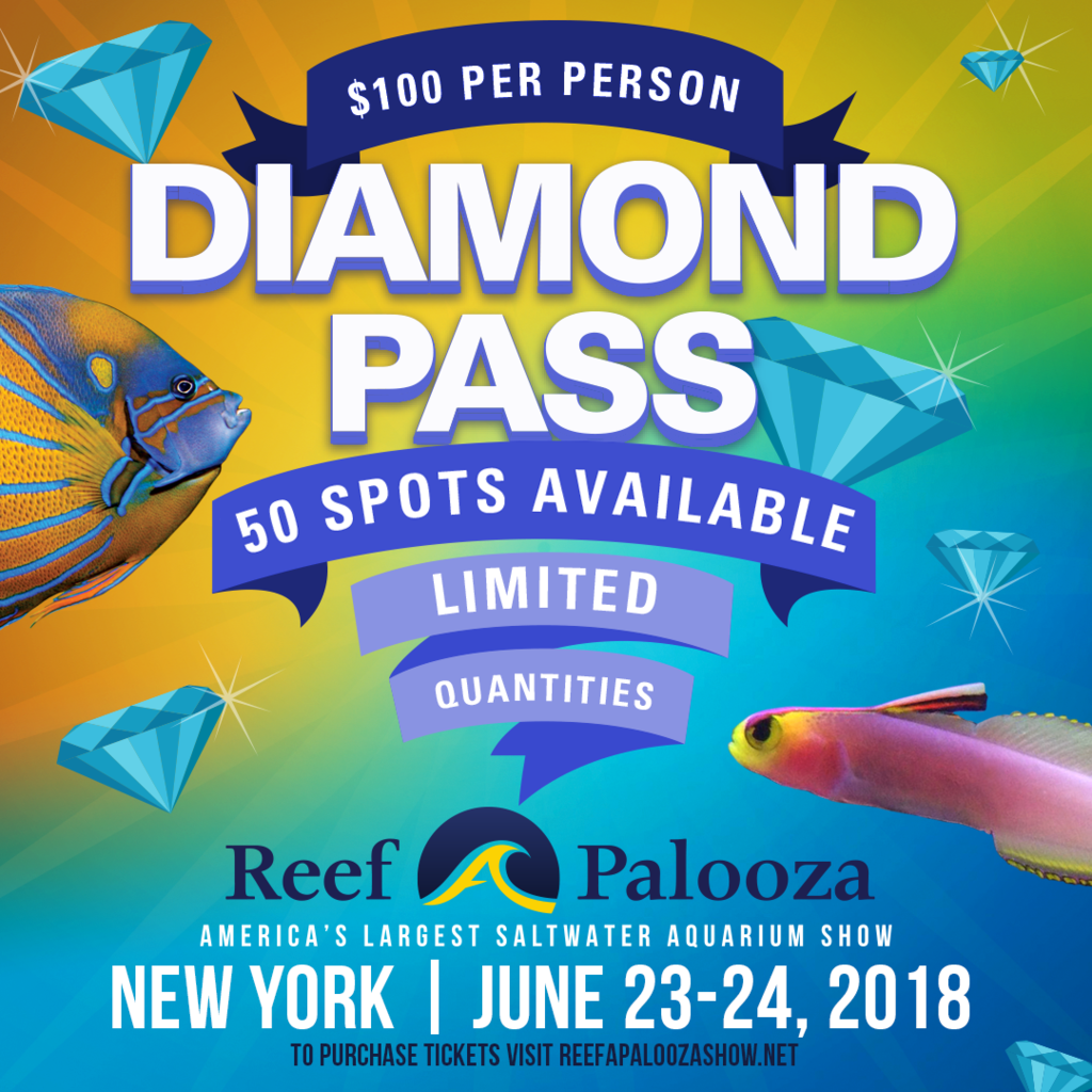 Reefapalooza_General_Diamond%20Pass_NY-2018.png