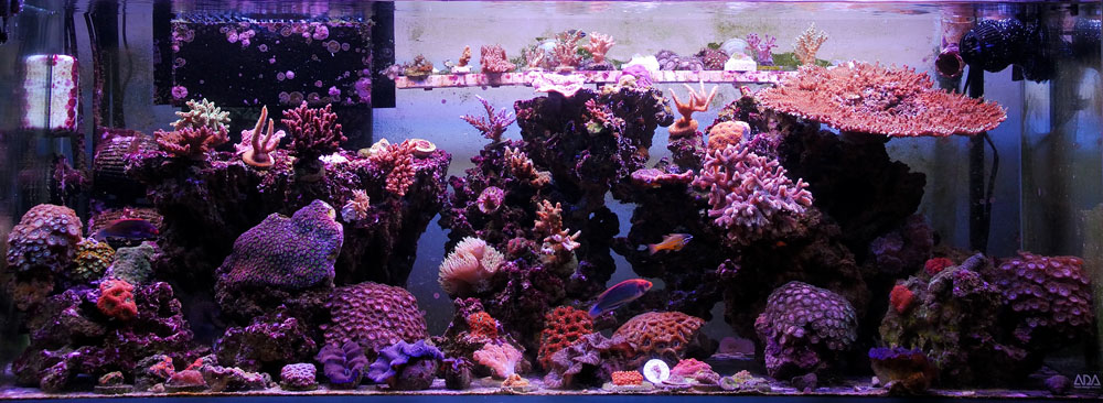 FTS12-10small.jpg