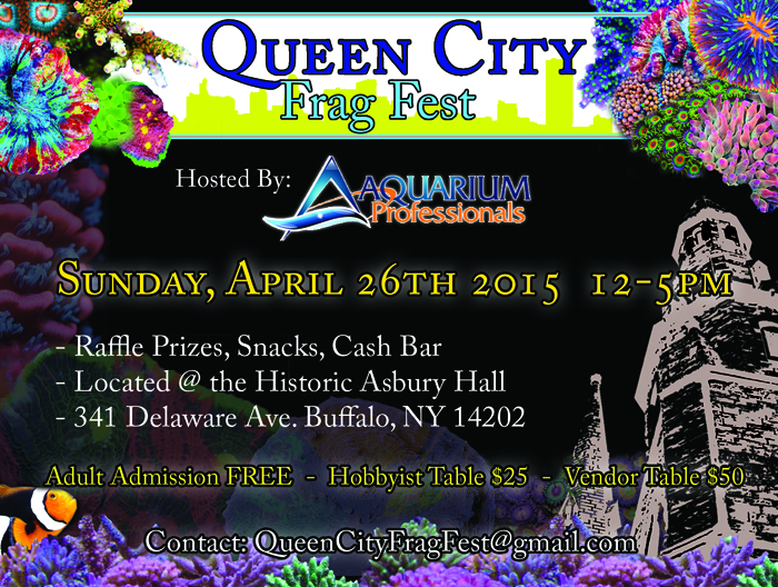 Queen City Frag Fest_1.jpg